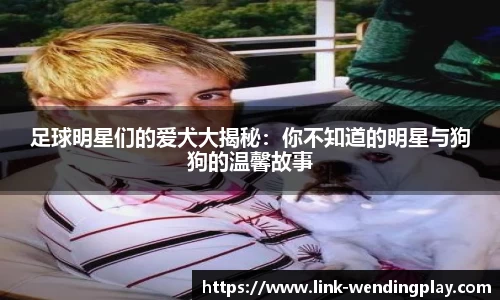足球明星们的爱犬大揭秘：你不知道的明星与狗狗的温馨故事