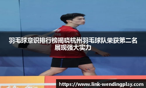 羽毛球意识排行榜揭晓杭州羽毛球队荣获第二名展现强大实力